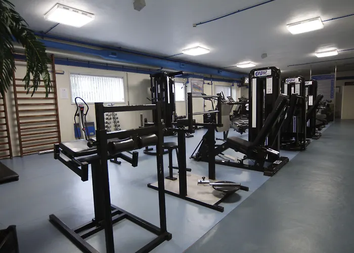 Feira Pedra Bela Santa Maria da Feira